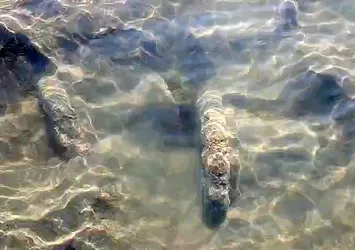 Tarihi sütunlar gün yüzüne çıktı