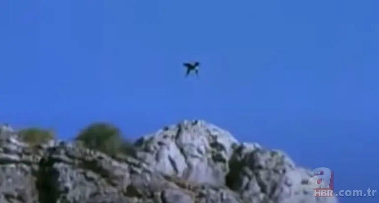 Dev kartalın nefes kesen kurt avı! Anne kurdun hatası pahalıya mal oldu 3