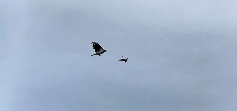 Kargadan drone saldırısı