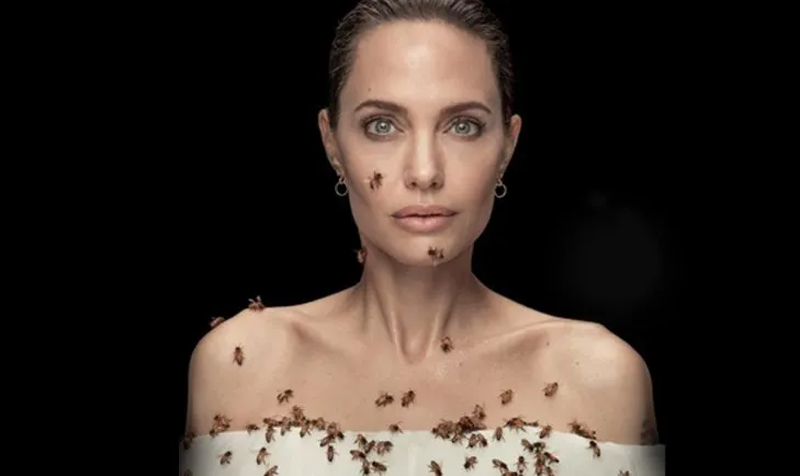 Angelina Jolie arılarla kameralar karşısına geçti! 18 dakika boyunca…