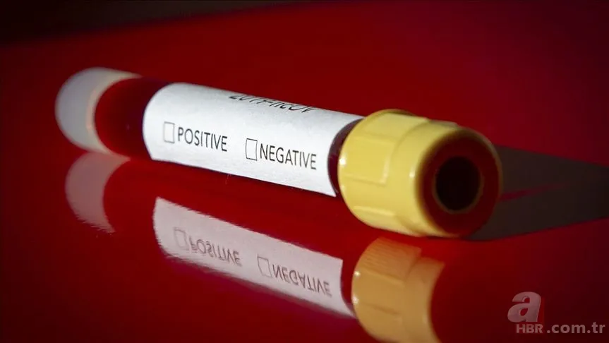 Sylvia Browne'nin Kehanetler kitabında corona virüsü mü anlatılıyor? Kehanetler Kitabı konusu nedir? 10