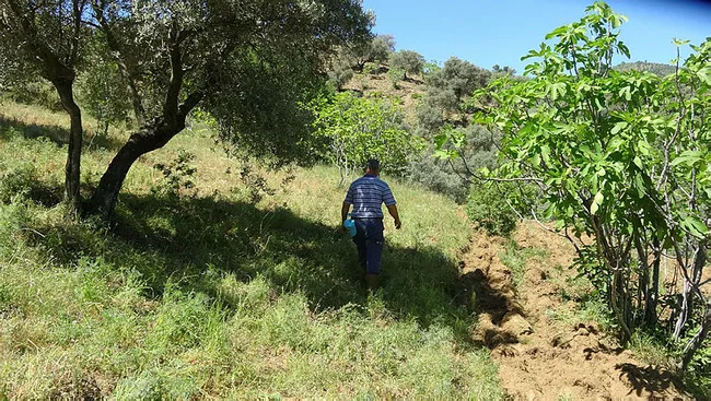 Aydın'da yaşayan Süleyman Çapar emeklilik ikramiyesini telefon dolandırıcılarına kaptırdı - 5