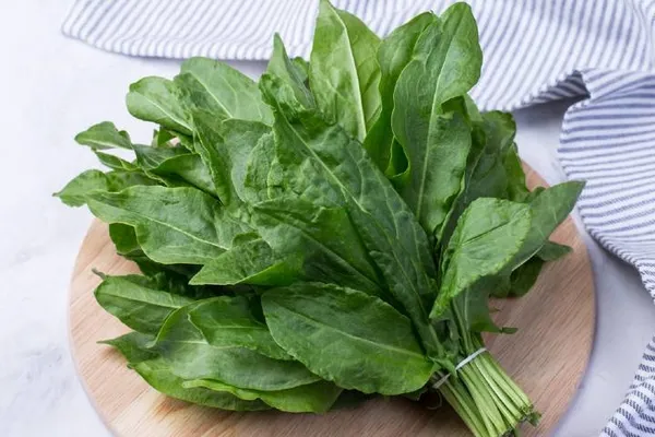 Doğada kendiliğinden yetişiyor! Yüzyıllar önce keşfedildi! Meğer en güçlü mikrop öldürücüymüş...