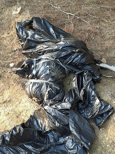 Edirne'de ormana atılmış çöp poşetinde ölmüş köpek bulundu - 1