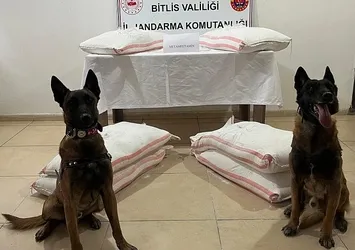 Bitlis'te uyuşturucu operasyonu! 250 kilo metamfetamin ele geçirildi