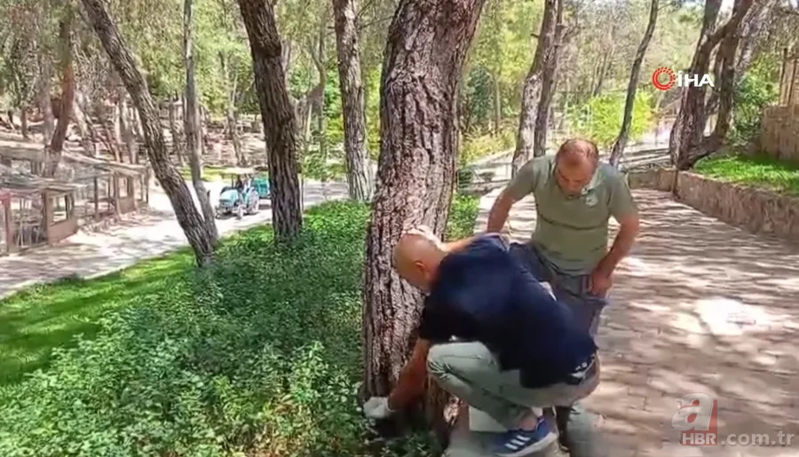 Maydanozların arasından çıkan şoke etti! Hal esnafı hemen ekiplere haber verdi | Fotoğraftaki ayrıntıya dikkat! 5