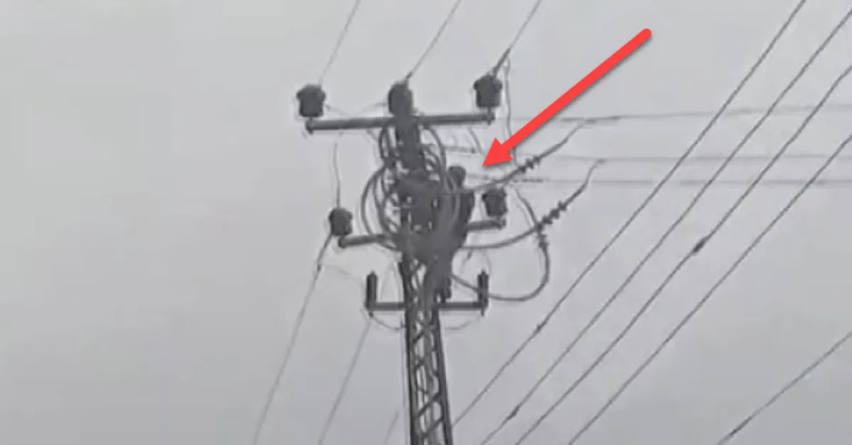 Korkunç görüntüler Hatay'dan! Elektrik direğine çıkan şahıs akıma kapıldı