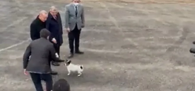 Başkan Erdoğan’dan hayvan barınağına ziyaret: Maylo isimli köpekle yakından ilgilendi