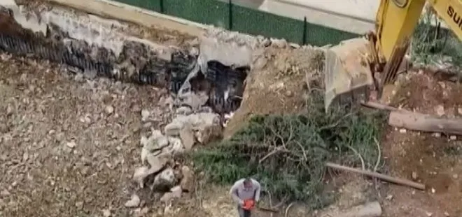 CHP’li Maltepe Belediyesi’nde ağaç katliamı! Toprağa gömdüler