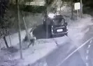 Yardım ederken soyuldular
