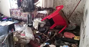 Çöp evde yaşayan kadın hastaneye kaldırıldı