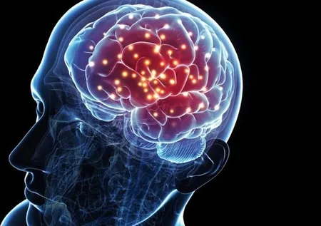 Beyni geliştiren kritik besinler