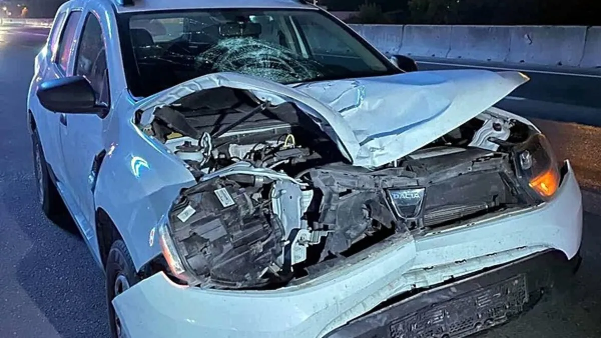 Sakarya'da aracın çarptığı kadın yaşamını yitirdi