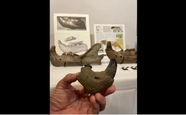 ilk-kez-1836da-kesfedilmisti-sular-cekilince-ortaya-cikti-cok-nadir-1670404767719.jpeg İlk kez 1836'da keşfedilmişti! Sular çekilince ortaya çıktı: Çok nadir... - 1