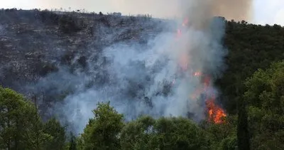  Gebze’de orman yangını
