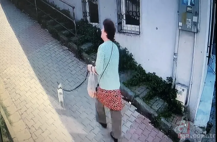 İstanbul’da kan donduran pitbull saldırısı! Köpeğini parka götüren kadına dehşeti yaşattı