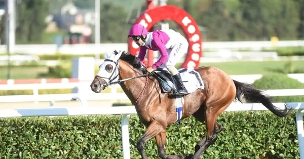 97. GAZİ KOŞUSU CANLI İZLE! Gazi Koşusu saat kaçta, hangi kanalda yayınlanacak? Birincilik ödülü...