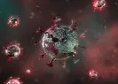 Koronavirüsündeki mutasyon aşıları nasıl etkileyecek?
