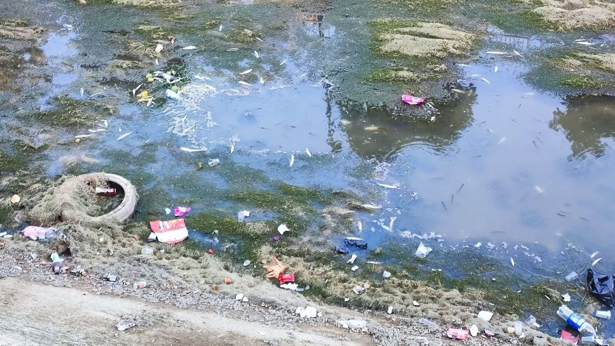 Sulama kanalındaki balıklar telef olmaya devam ediyor