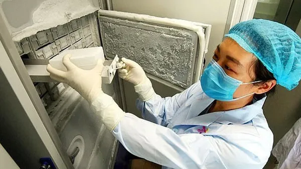 Koronavirüs yarasadan mı kaynaklanıyor? Laboratuvarda mı üretildi? Milyonların merak ettiği soru yanıt buldu!