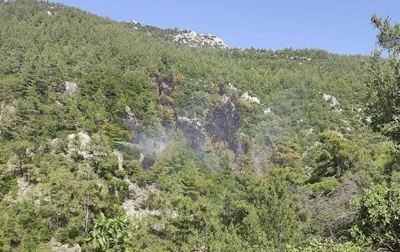 mugla-milasta-orman-yangini-alevler-35-saatin-ardindan-kontrol-altinda-1718208727228.jpg