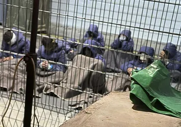 Katil İsrail hapishanelerindeki Filistinli esirleri aç bırakıyor