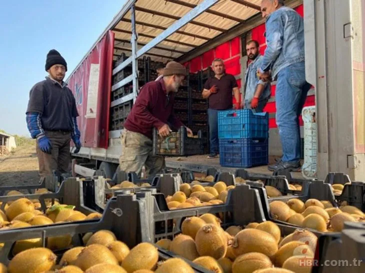 İngiltere ve Rusya’nın gözü Samsun’da! Çocuk gibi bakılıyor