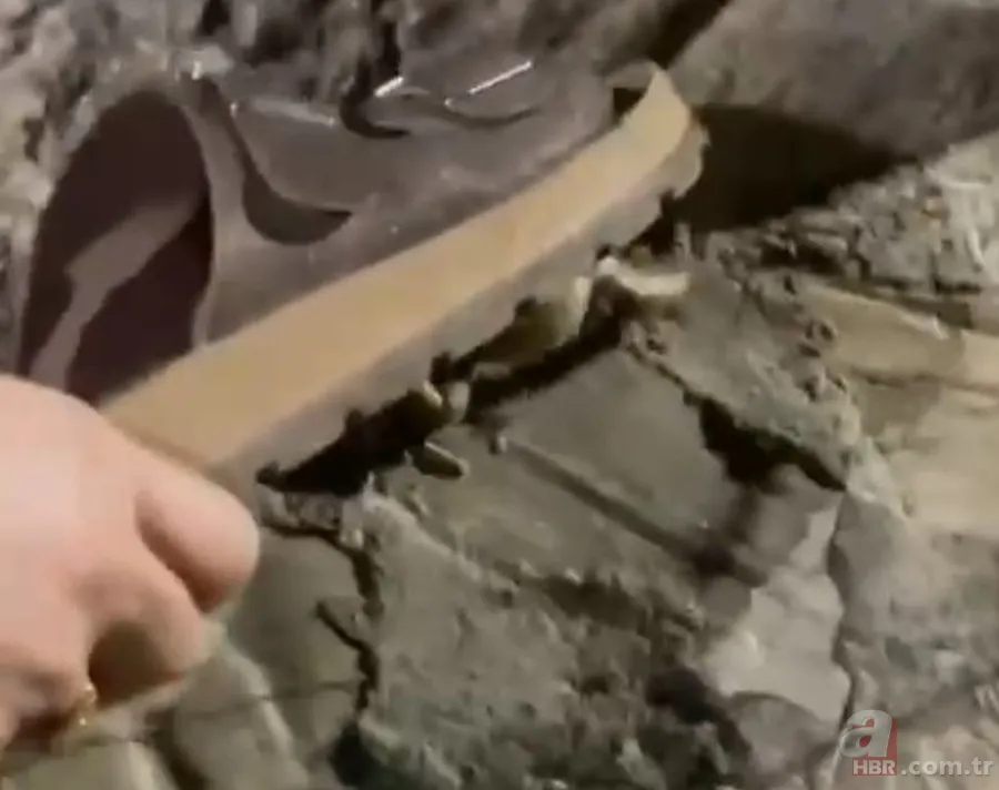 Yılan kurbağa avladı! Ağzıyla yuvasına çekerken… 3