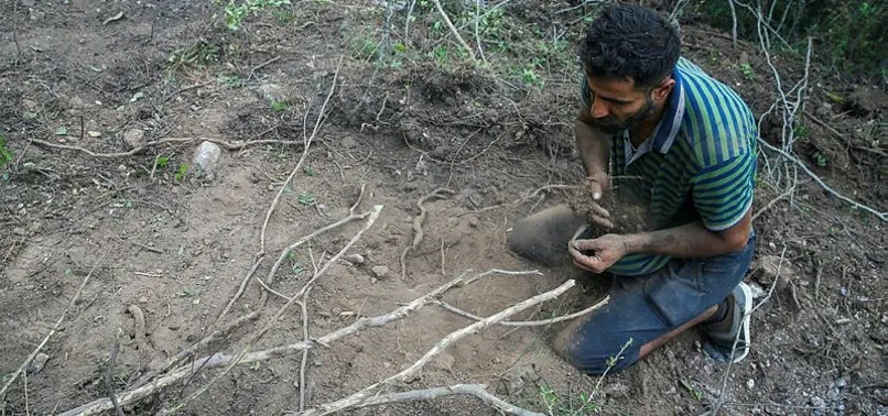 Suriyeli Hasan İzmir'deki yangında elleriyle kum taşıdı