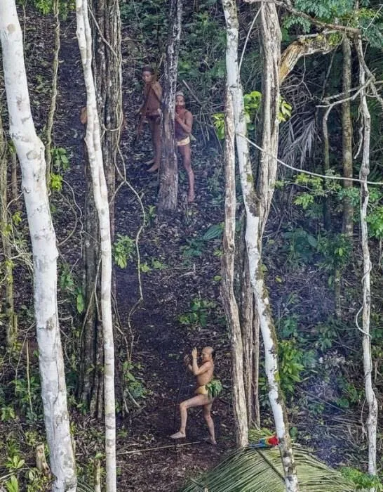 Amazon’da tesadüf eseri yeni bir kabile keşfedildi