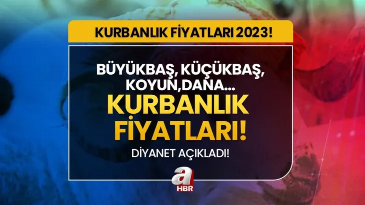 Kurbanlık fiyatları ne kadar, kaç TL? KURBANLIK FİYATLARI 2023! Küçükbaş, büyükbaş, dana, tosun, koyun, kuzu...DİYANET vekaletle kurban kesim bedeli!