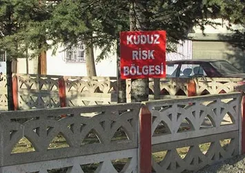 Afyon Sandıklı'da kuduz karantinası