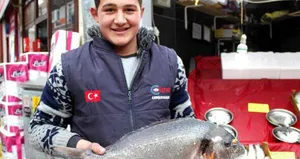 Karadeniz’e kaçan çupra şaşırttı