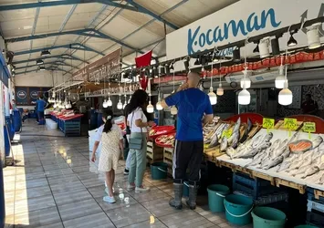 Olta istavrit tezgahlarda