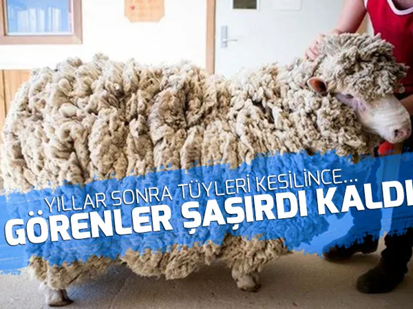 ‘Raylara 10 gün boyunca yaklaşmayın’ - 1