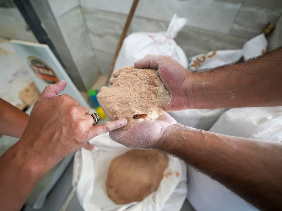 Sofralarımıza böcekli ve küflü un yedireceklerdi! Tarsus'taki skandal denetimle ortaya çıktı - 5