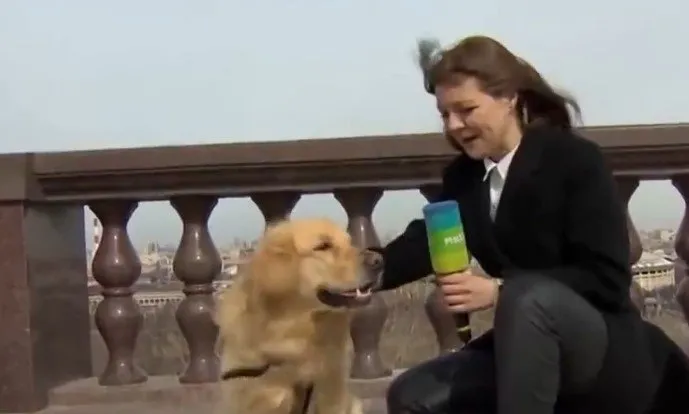Canlı yayında mikrofonu köpeğe kaptırdı! Şoke eden anlar