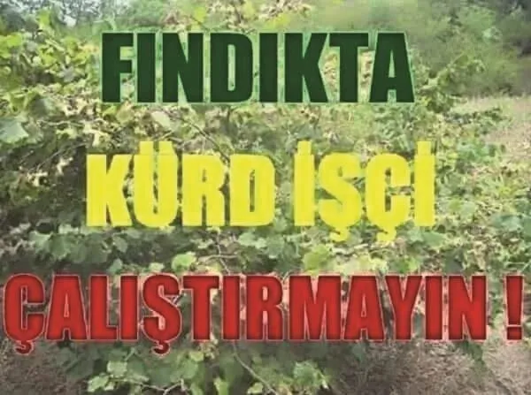 FETÖ-PKK'dan Karadeniz’de tehlikeli oyun - 2