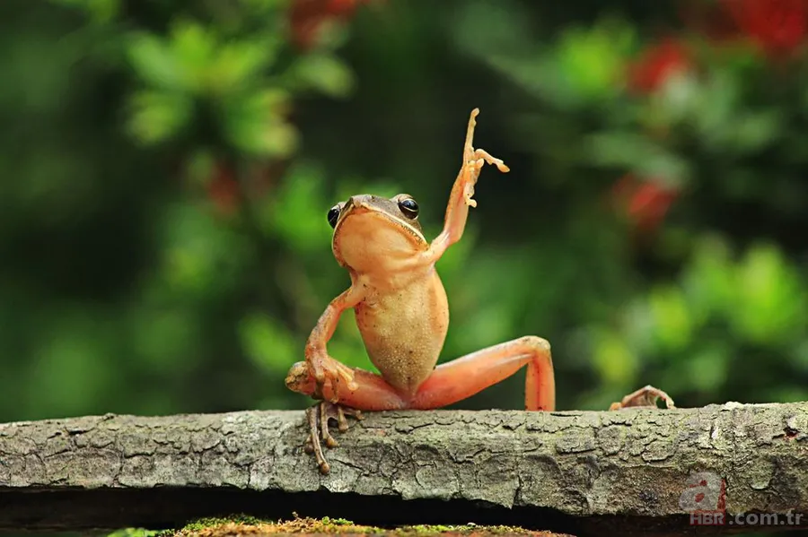 Erzurum'da görenleri şaşırtan anlar! Hemen telefona sarıldılar 6