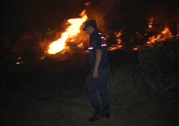 Tekirdağ'da orman yangını