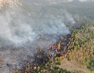 Artan hava sıcaklıklarıyla birlikte yetkililer uyarılarda bulunurken yurdun dört bir yanından orman yangını haberleri gelmeye devam ediyor. Tarım ve Orman Bakanı İbrahim Yumaklı yaptığı son açıklamada Bursa Harmancık'taki yangının devam ettiğini belirtti. Bu yangın hariç 4 ildeki 5 yangının ise tamamen kontrol altında olduğunu duyurdu.