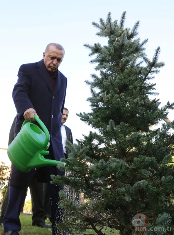 Başkan Erdoğan İstanbul İkmal Maliye Okulu ve Eğitim Merkezi Komutanlığı'na fidan dikti 2
