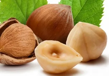 Fındıkta korkutan açıklama