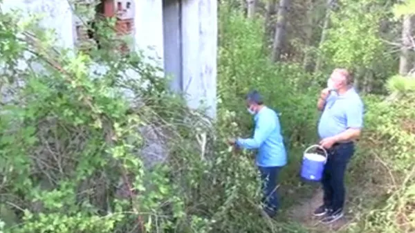 1621073496677.jpg Bolu'da köylüleri etkiledi! Çok sayıda kişi hastaneye koştu - 6