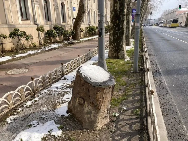 Çırağan'daki ağaç katliamının arkasında ne var? İBB İstanbul'un tarihi simgesine hançer sapladı