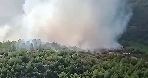 İzmir’de korkutan orman yangını