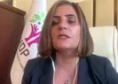 HDPli isimden TBMMde PKK provokasyonu!
