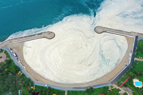 Müsilaj tehlikeli mi? Çevre ve Şehircilik Bakanlığından son dakika açıklaması!