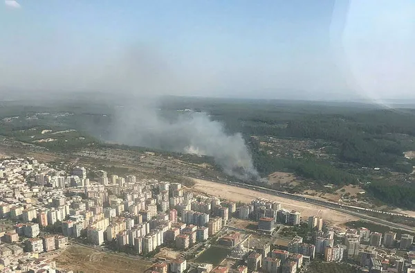 Son dakika: İzmir'de orman yangını - 1