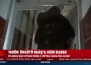 Terör örgütü DEAŞa ağır darbe